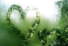 摇曳的红酒之魂：波尔多未来不确定，球迷忧心忡忡