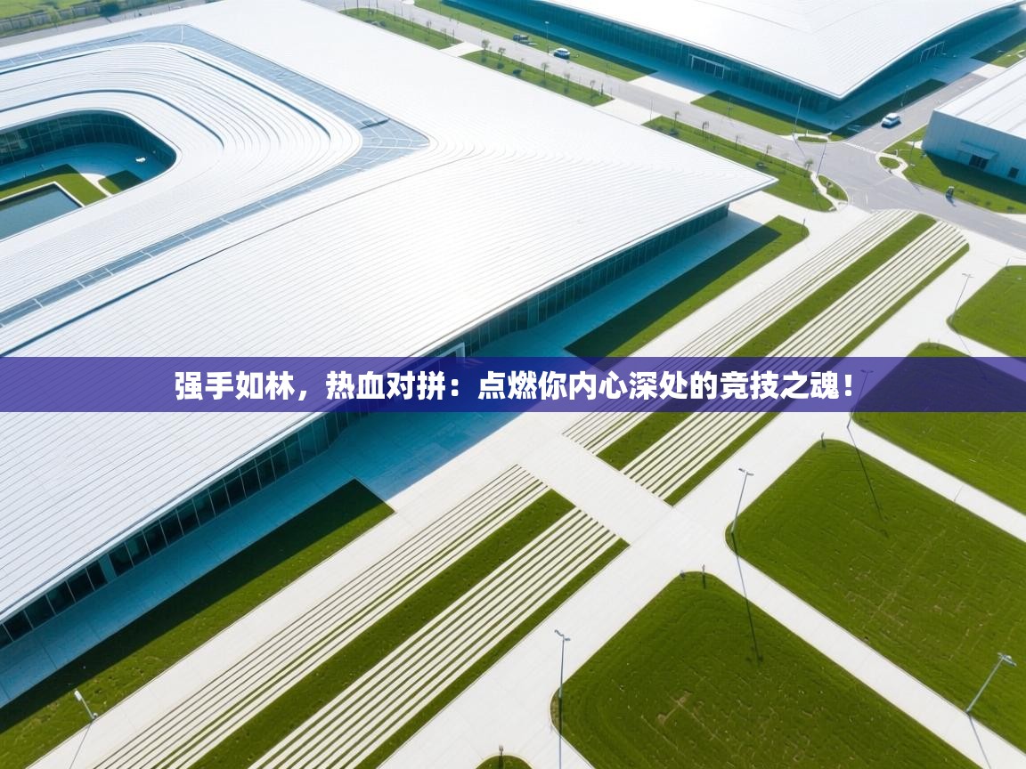 强手如林，热血对拼：点燃你内心深处的竞技之魂！  第2张