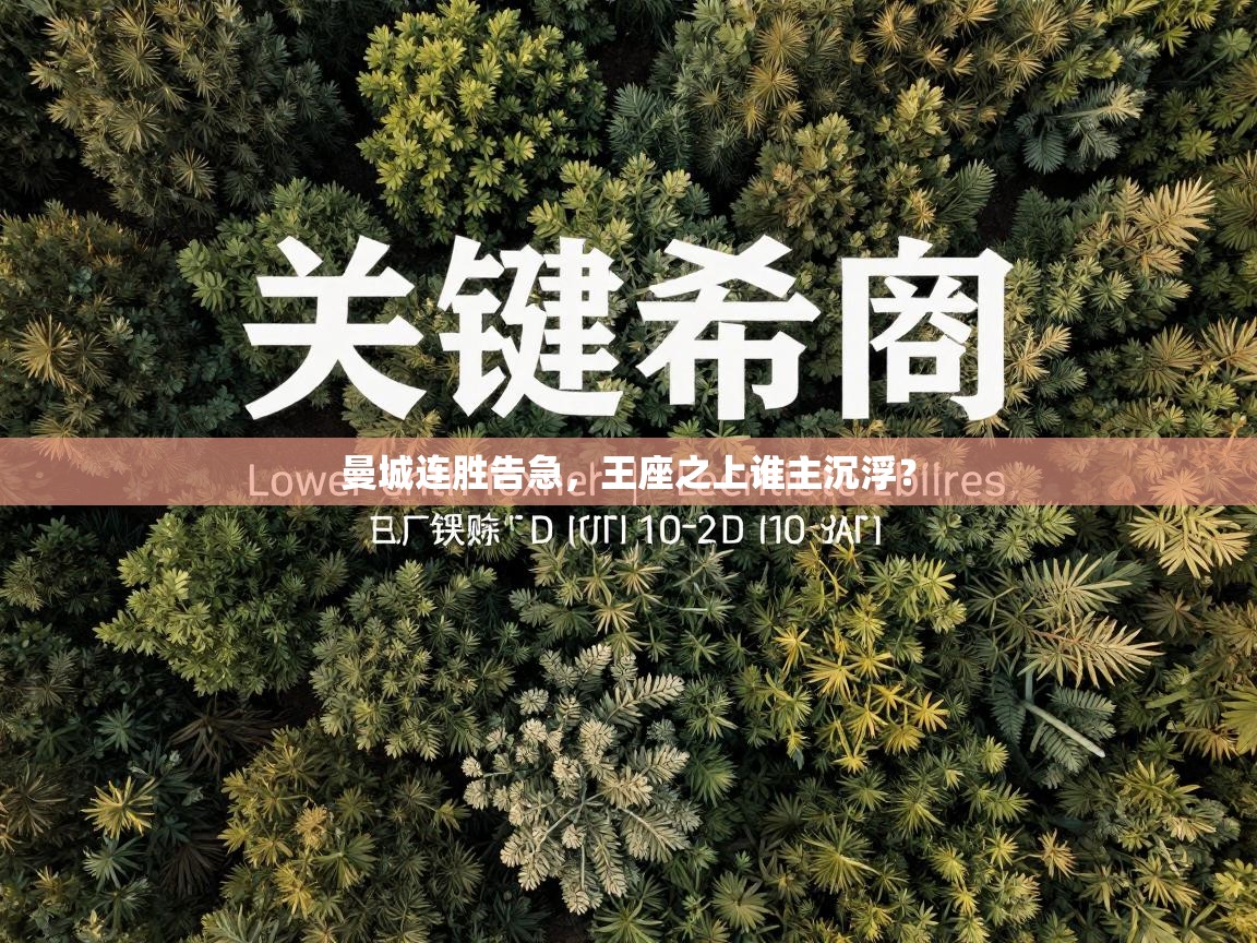 曼城连胜告急，王座之上谁主沉浮？  第1张